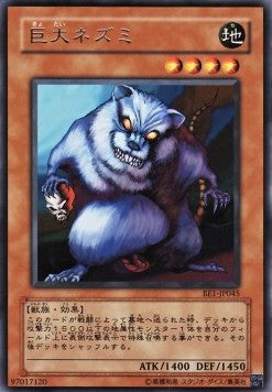 Giant Rat