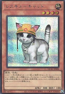 Rescue Cat (V.2 - Secret Rare)