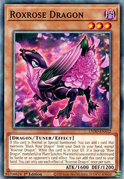 Roxrose Dragon