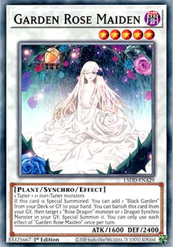 Garden Rose Maiden