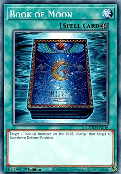 Book of Moon
