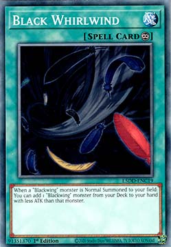 Black Whirlwind