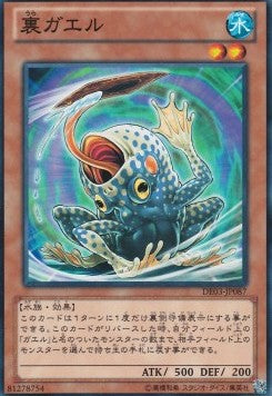 Flip Flop Frog