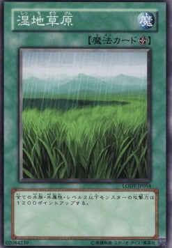 Wetlands