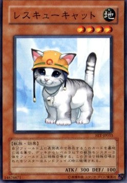 Rescue Cat (V.1 - Common)
