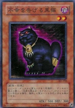 A Cat of Ill Omen