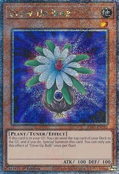 Glow-Up Bulb (V.2 - Quarter Century Secret Rare)