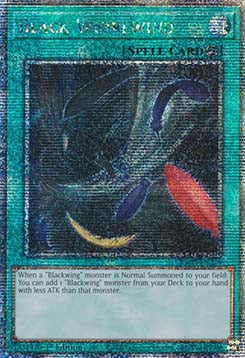 Black Whirlwind (V.2 - Quarter Century Secret Rare)