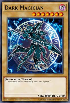 Dark Magician (V.11 - Quarter Century Secret Rare)