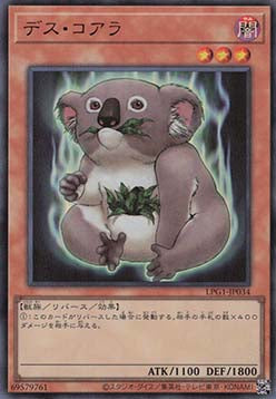 Des Koala