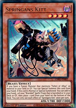 Springans Kitt