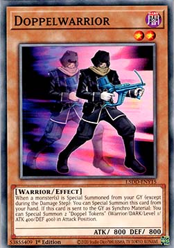 Doppelwarrior