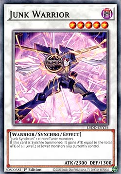Junk Warrior