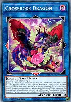 Crossrose Dragon