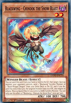 Blackwing - Chinook the Snow Blast