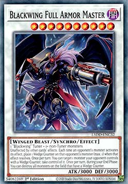 Blackwing Full Armor Master