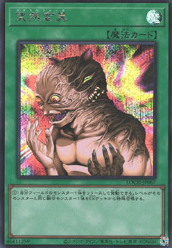 Metamorphosis (V.2 - Secret Rare)