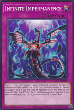 Infinite Impermanence