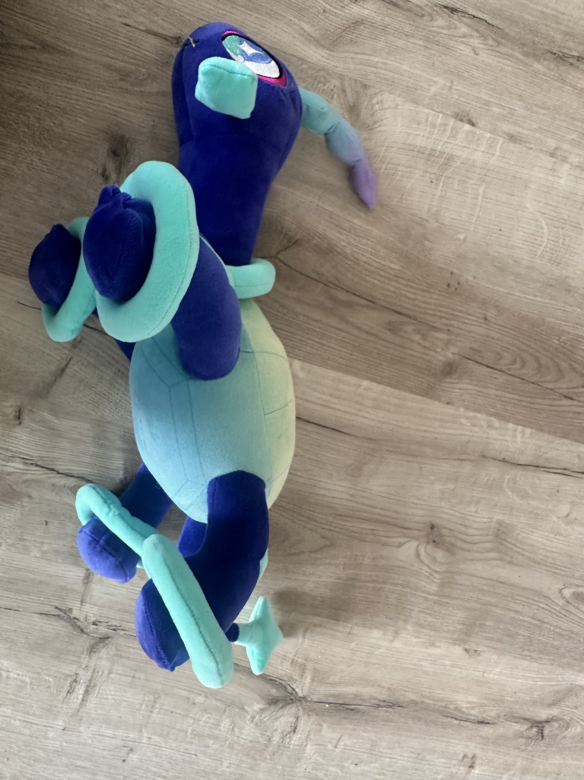 Pokémon Plüschtier Terapagos – Plüsch, Original Japan Import | Jungcards