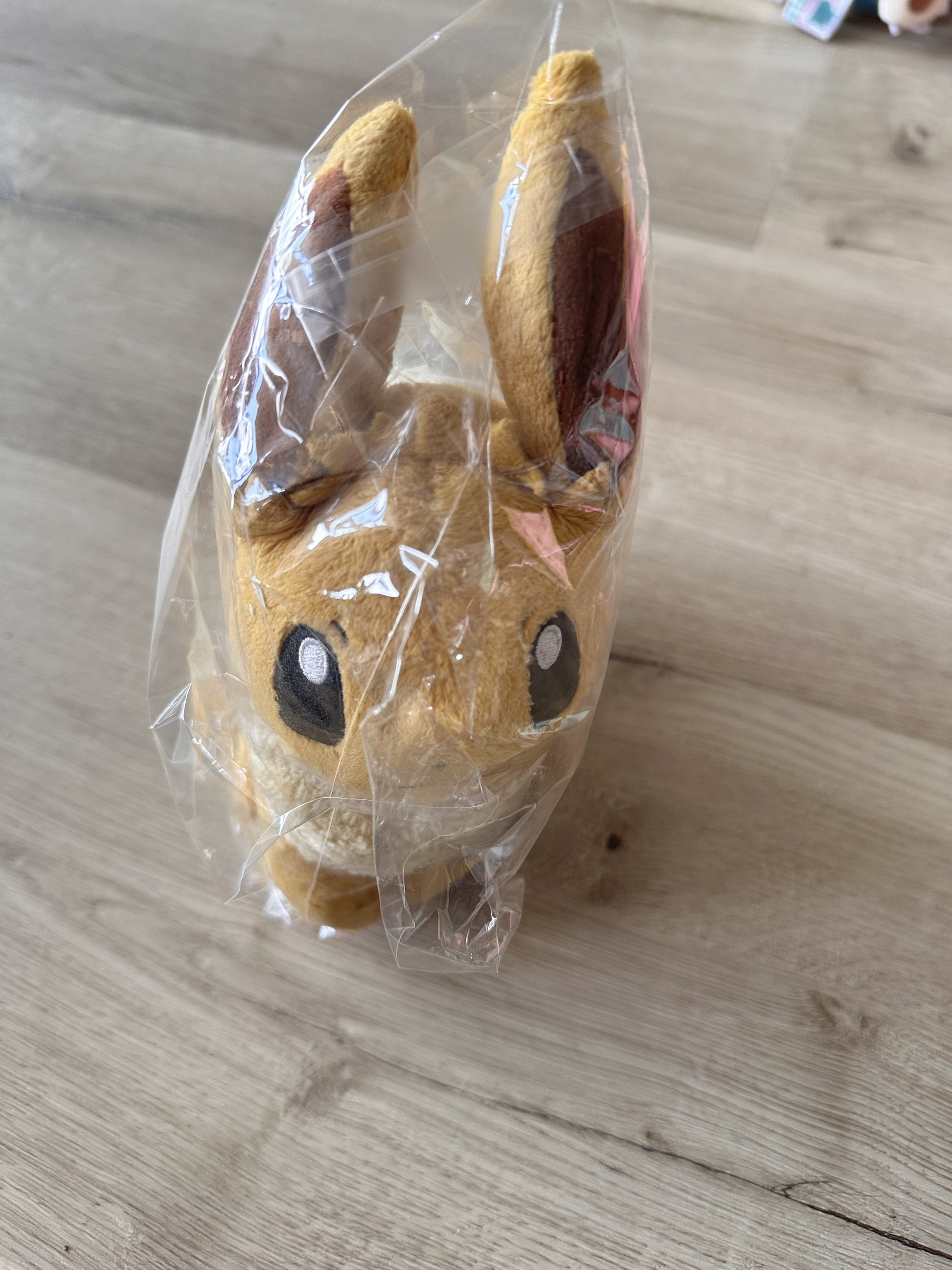 Pokémon Plüschtier Eevee, noch original verpackt – Plüsch, Original Japan Import | Jungcards