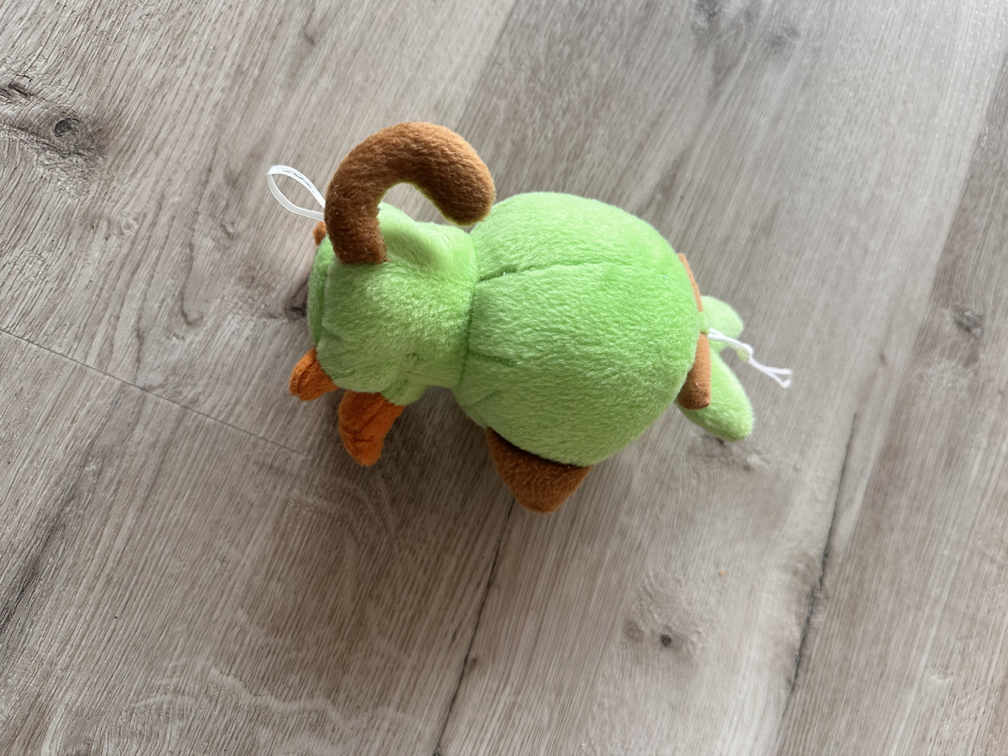 Pokémon Plüschtier Chimpep – Plüsch, Original Japan Import | Jungcards