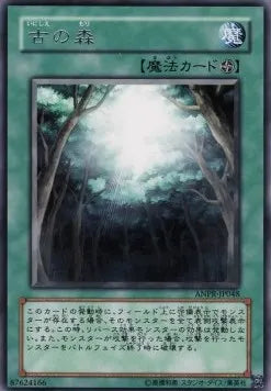 Ancient Forest ANPR-JP-048 Rare – Japanisch, EX