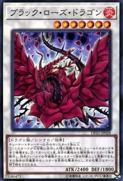Black Rose Dragon DP21-028 Common – Japanisch, EX