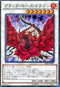 Black Rose Dragon 20AP-2-067 Parallel Rare – Japanisch, EX