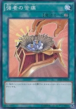 Burden of the Mighty ST16-029 Common – Japanisch, EX