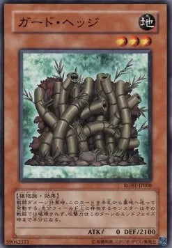 Hedge Guard RGBT-JP-008 Common – Japanisch, EX