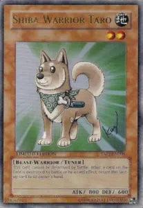Shiba Warrior Taro YAP1-008 Ultra Rare – Japanisch, EX
