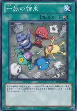 Solidarity SD20-031 Common – Japanisch, EX