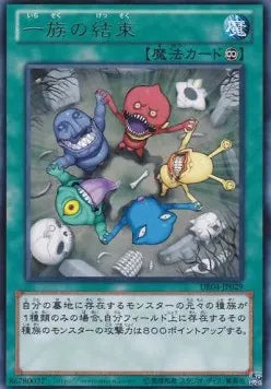 Solidarity DE04-029 Rare – Japanisch, EX