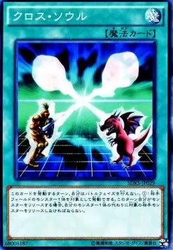 Soul Exchange SDKS-JP-029 Common – Japanisch, EX