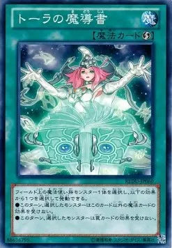 Spellbook of Wisdom REDU-JP-060 Common – Japanisch, EX