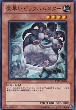 Super-Nimble Mega Hamster EXP3-034 Common – Japanisch, EX
