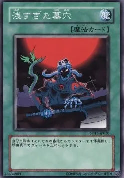 The Shallow Grave SD13-020 Common – Japanisch, EX